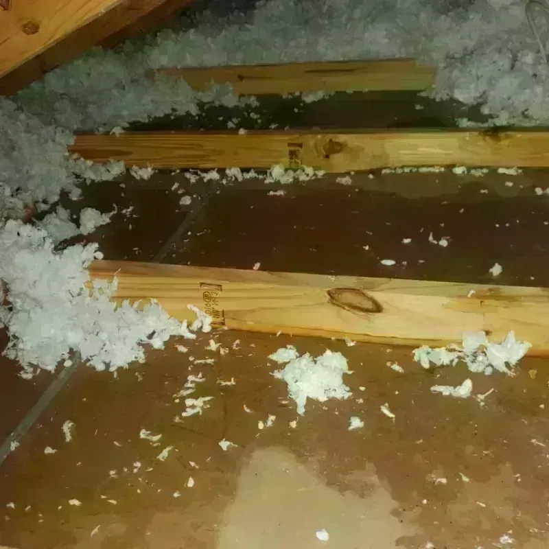 Attic Water Damage in White County, IN