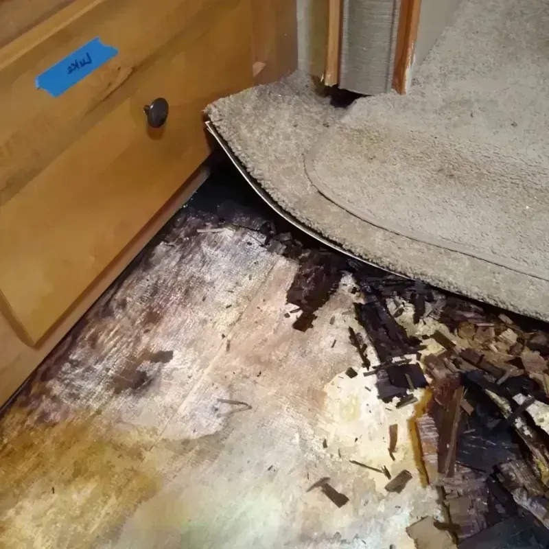 Wood Floor Water Damage in White County, IN